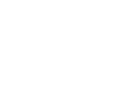 Certified Ethical Hackers